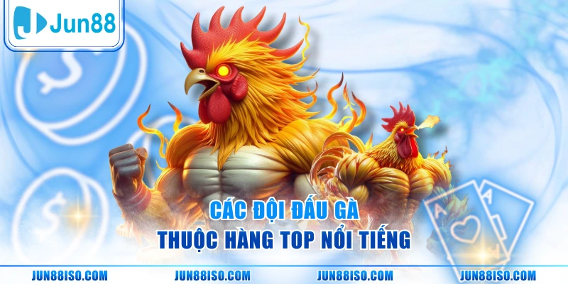 Các đội đấu gà thuộc hàng top nổi tiếng