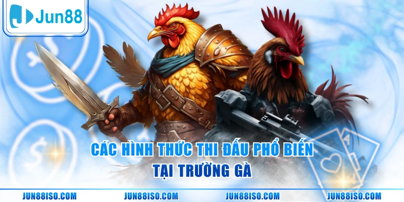 Các hình thức thi đấu phổ biến tại trường gà