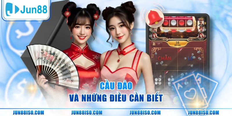 Cầu đảo và những điều cần biết