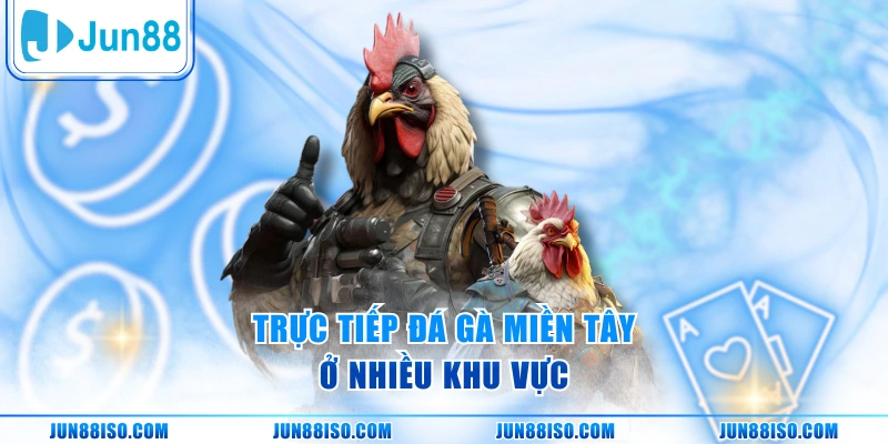 Trực tiếp đá gà miền Tây ở nhiều khu vực