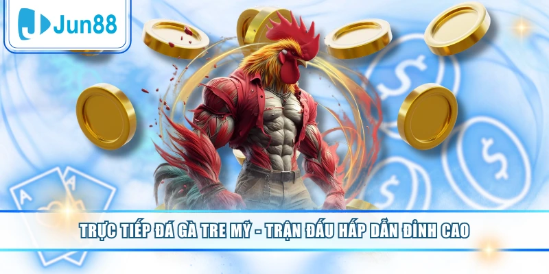 Trực Tiếp Đá Gà Tre Mỹ - Trận Đấu Hấp Dẫn Đỉnh Cao